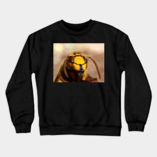 Hornet Crewneck Sweatshirt